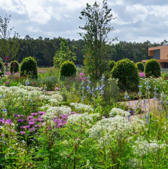 RHS Garden Bridgewater